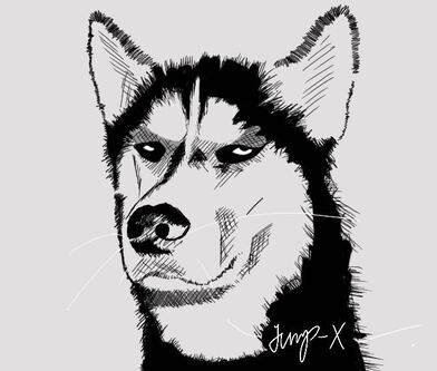 Haki